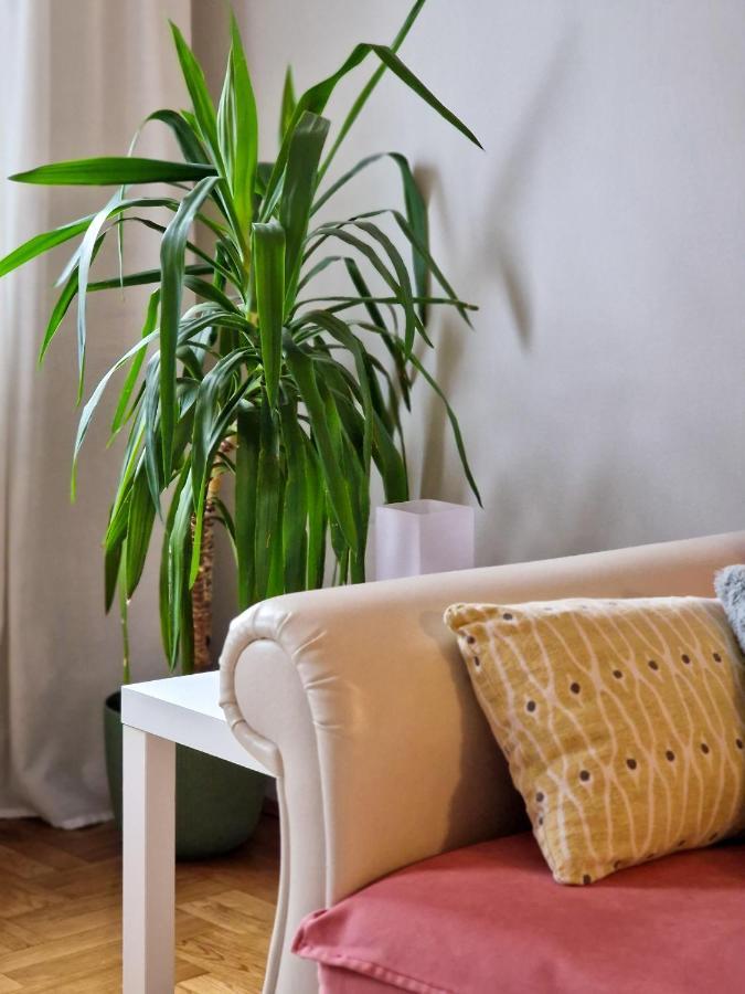 Apartament Quiet Center Sremska Mitrovica Zewnętrze zdjęcie
